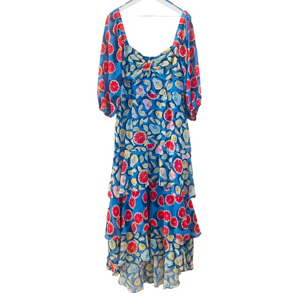 Hutch X ModCloth NWT Amorous Ambrosia Tiered Fruit Colorful Maxi Dress Size 12 - Picture 6 of 10